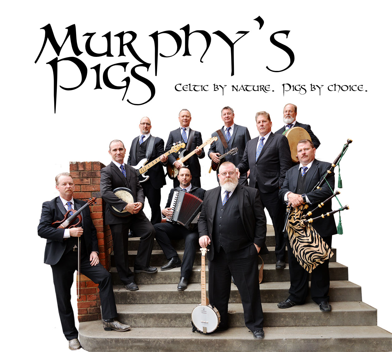 Murphy's Pigs